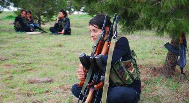 YPJ1-1