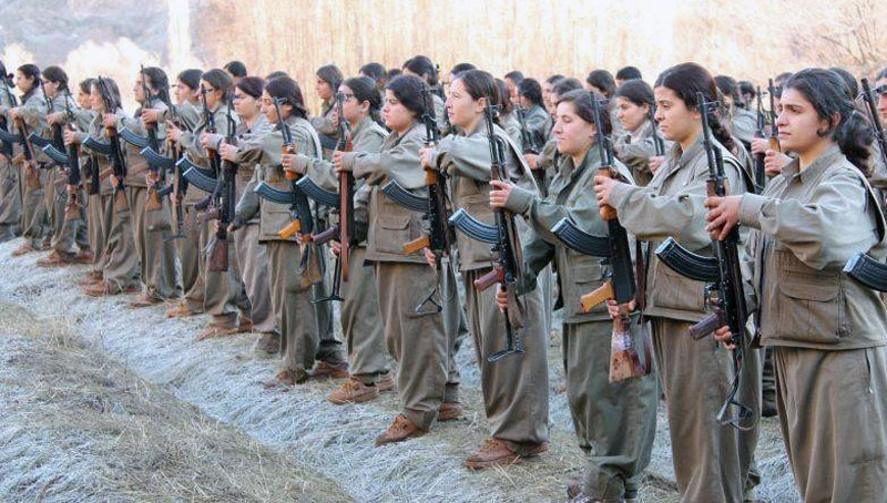 YPJ-forces1