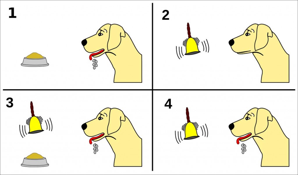 pavlov dog training