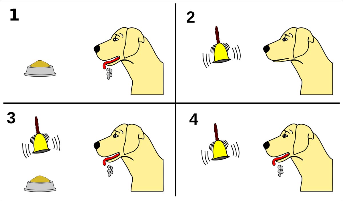 Pavlov's-dog-conditioning