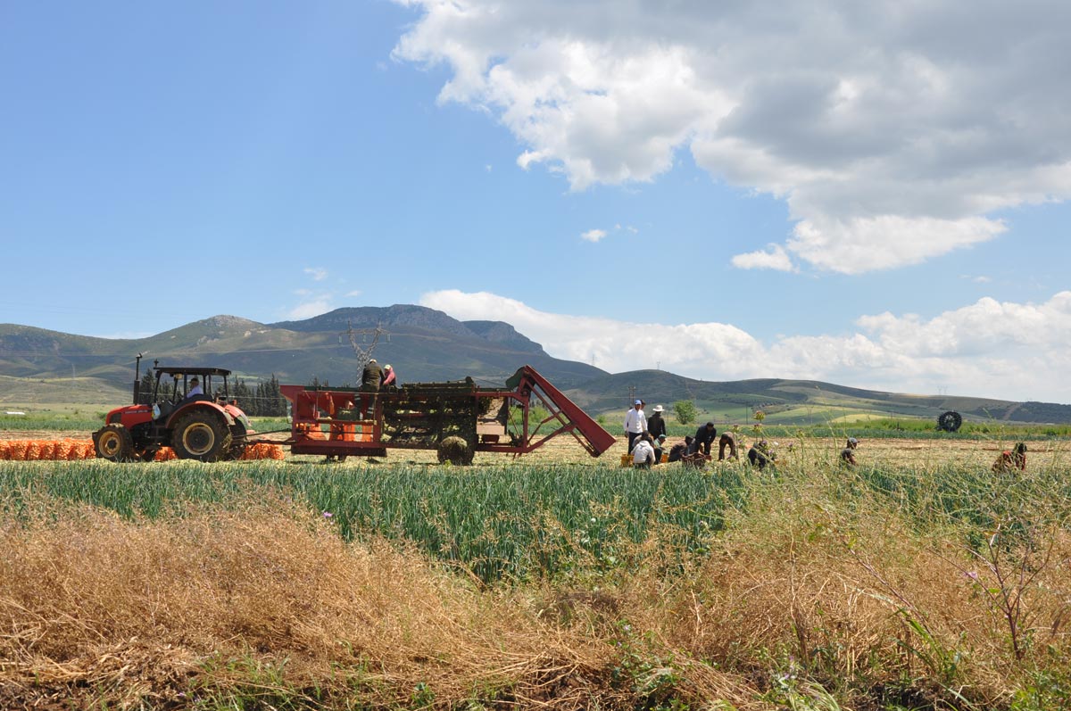 agricultural-factory-2