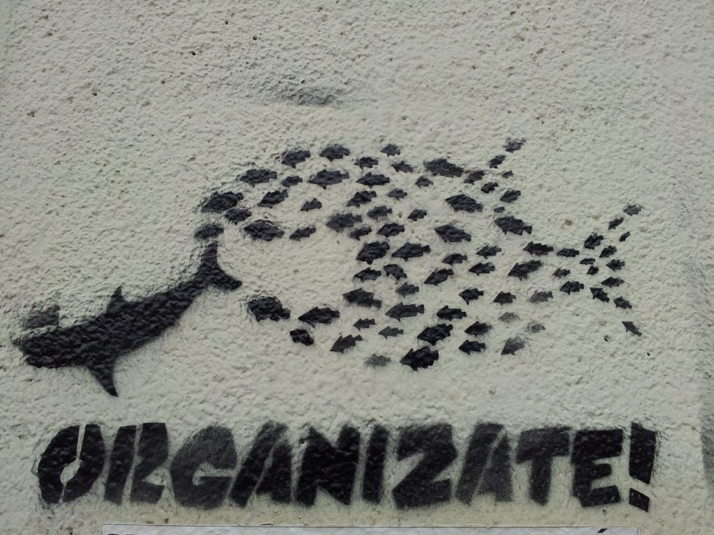 organize